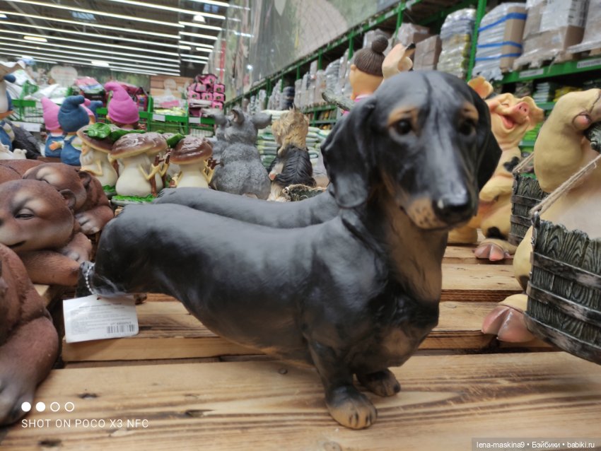 Поход в магазинчик за интересненьким и нужненьким