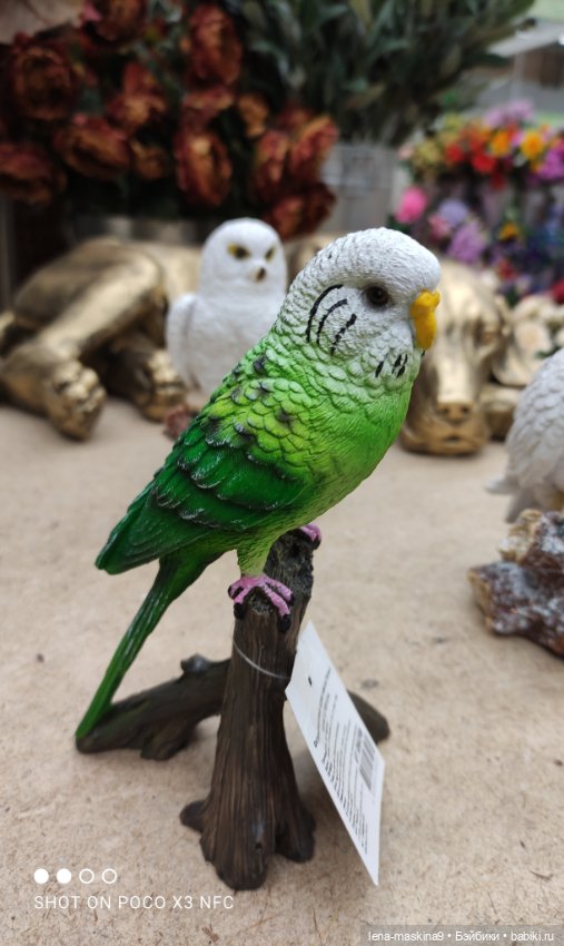 Поход в магазинчик за интересненьким и нужненьким