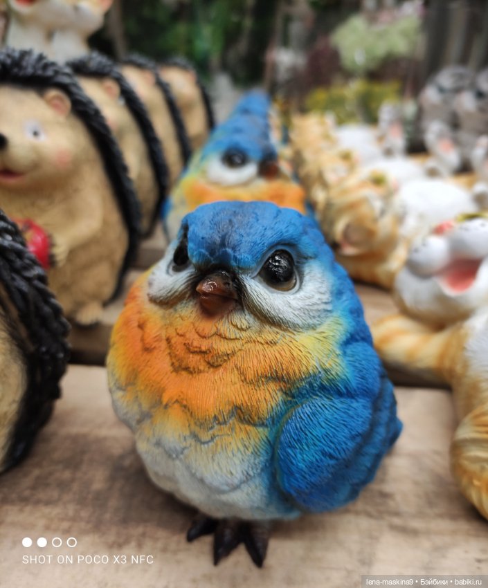 Поход в магазинчик за интересненьким и нужненьким