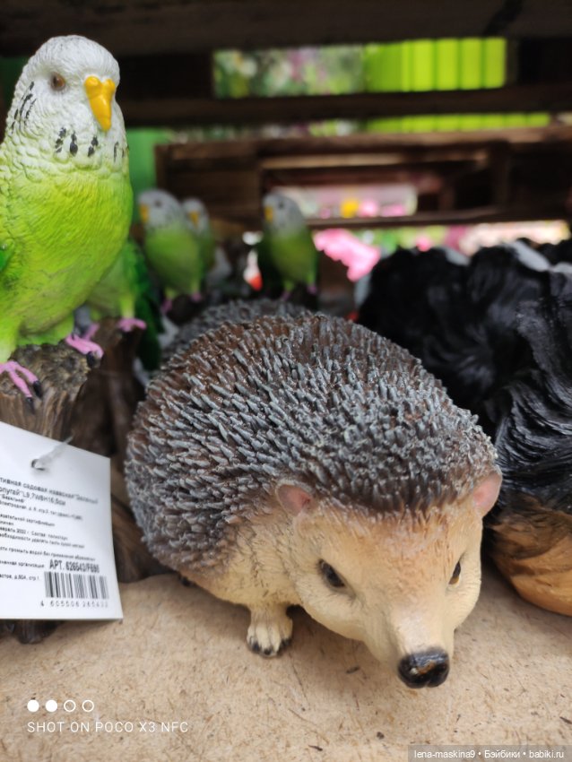 Поход в магазинчик за интересненьким и нужненьким