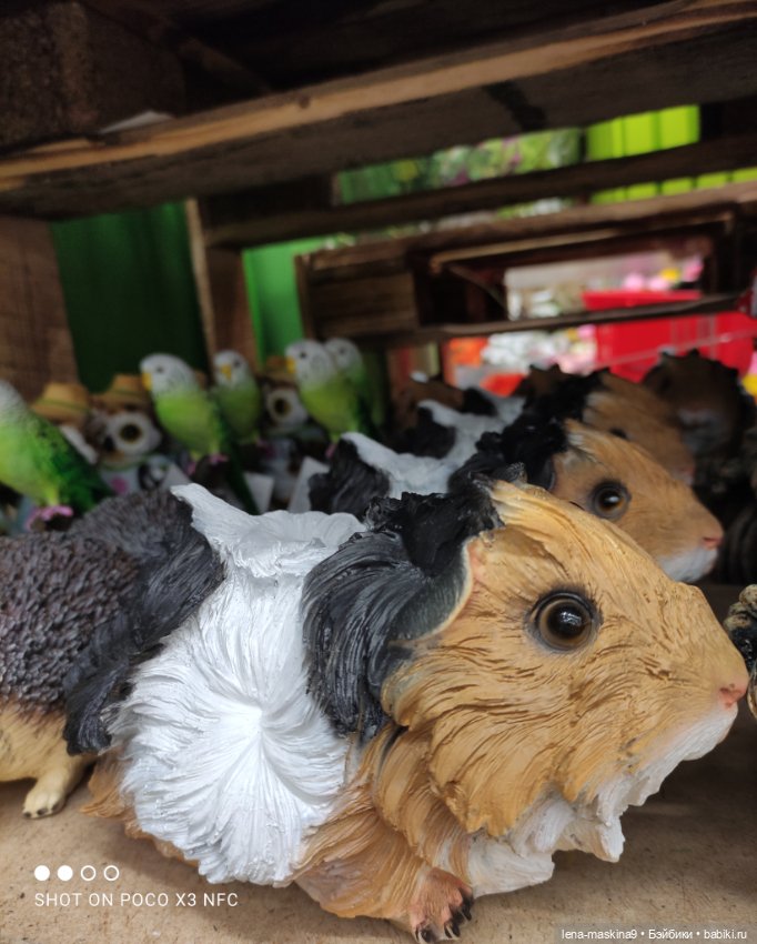 Поход в магазинчик за интересненьким и нужненьким