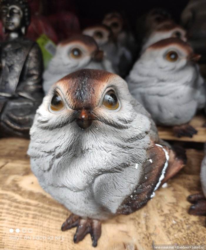 Поход в магазинчик за интересненьким и нужненьким