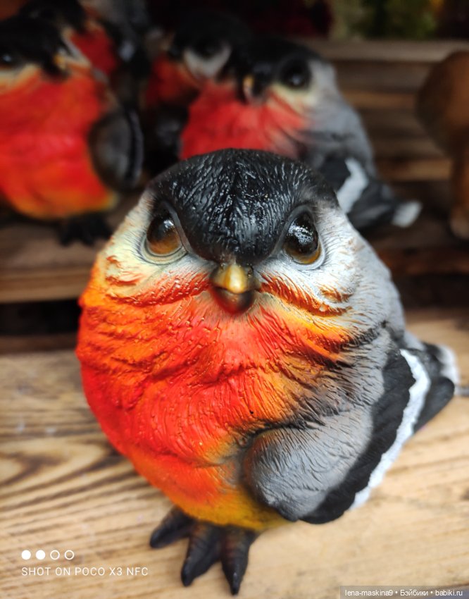 Поход в магазинчик за интересненьким и нужненьким