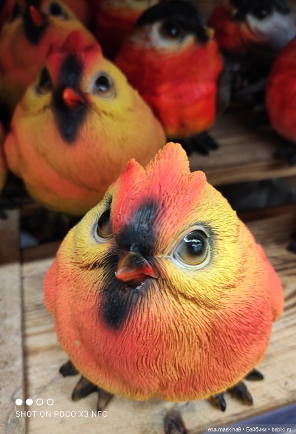 Поход в магазинчик за интересненьким и нужненьким