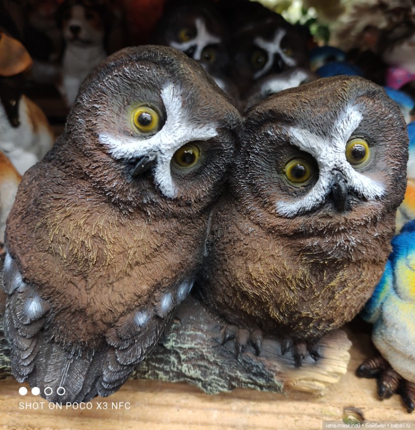 Поход в магазинчик за интересненьким и нужненьким