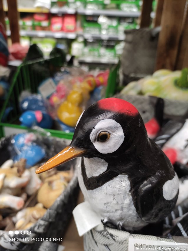 Поход в магазинчик за интересненьким и нужненьким