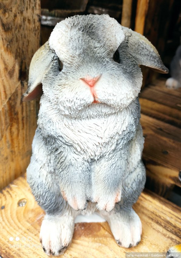 Поход в магазинчик за интересненьким и нужненьким