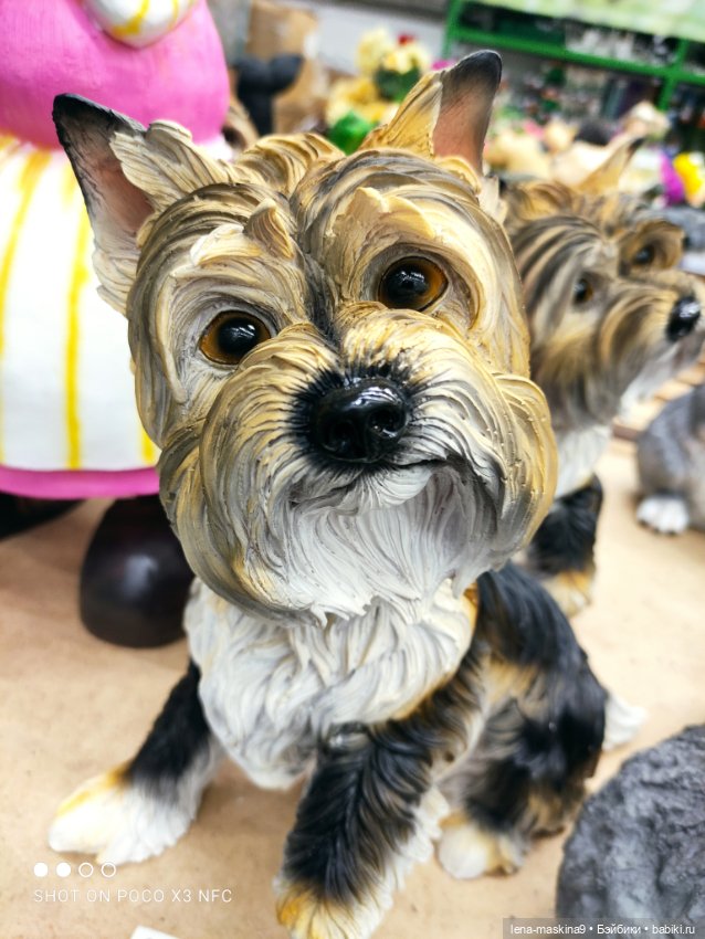 Поход в магазинчик за интересненьким и нужненьким (фото 3)