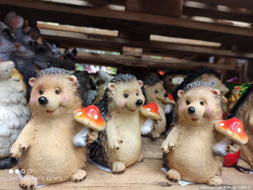 Поход в магазинчик за интересненьким и нужненьким