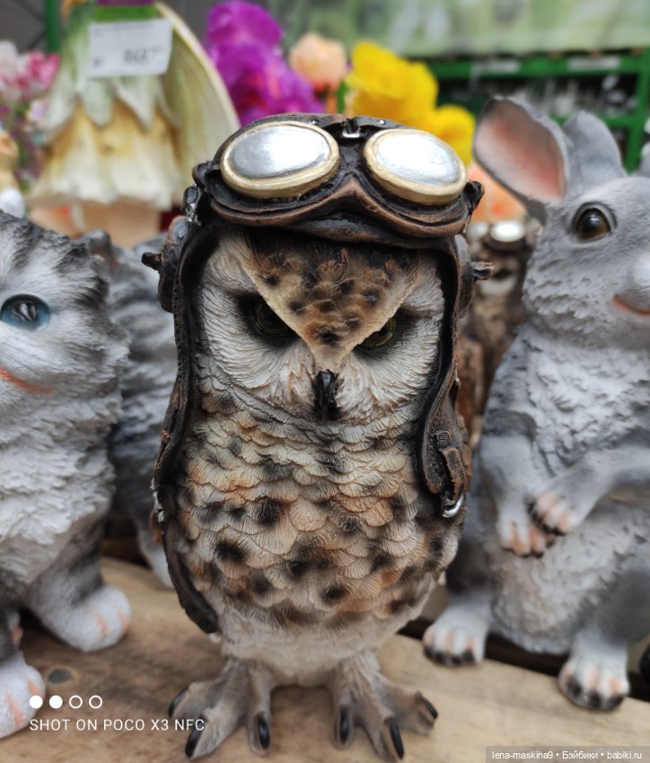 Поход в магазинчик за интересненьким и нужненьким