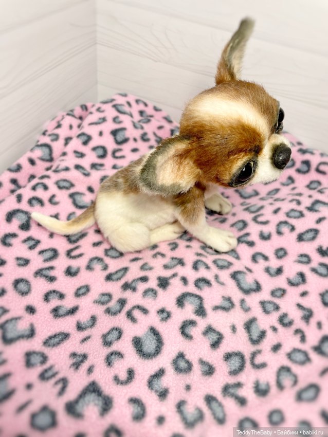 Зюзя 🐾🐶чихуахуа натюр — Реалистичные игрушки и звери (Натюр): собаки