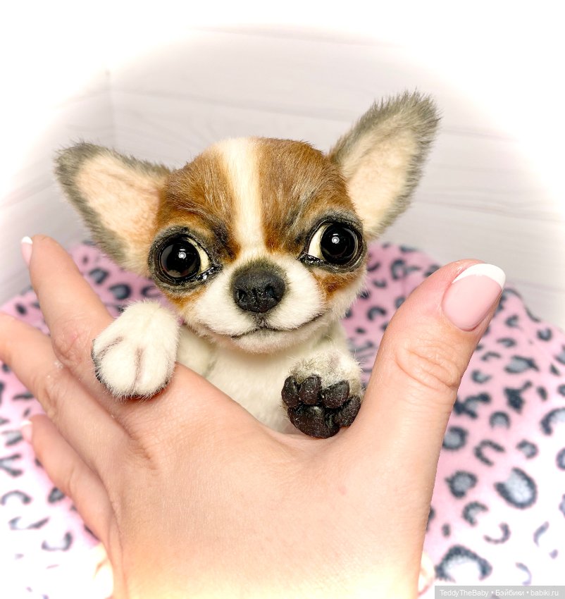 Зюзя 🐾🐶чихуахуа натюр — Реалистичные игрушки и звери (Натюр): собаки (фото 2)