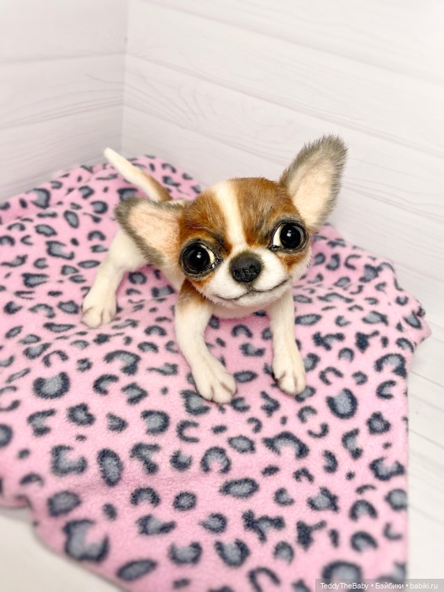 Зюзя 🐾🐶чихуахуа натюр — Реалистичные игрушки и звери (Натюр): собаки (фото 5)