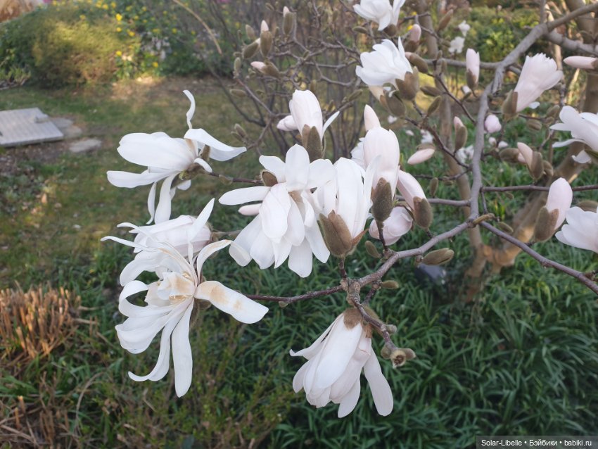 Пасхальный зайчик Avril Ruby Red Fashion Friends