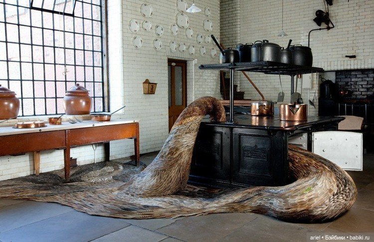 Скульптуры из перьев Кейт МакГвайр (Kate MccGwire)