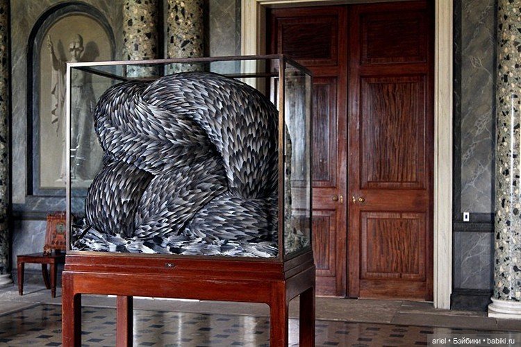 Скульптуры из перьев Кейт МакГвайр (Kate MccGwire) (фото 3)