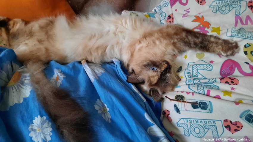 Ещё порция повязушек. Мышонок, ёжик