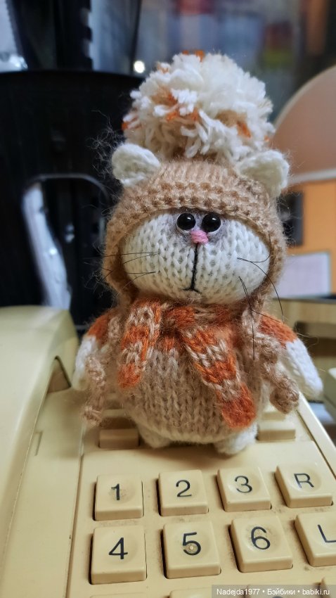 Снова повязушки.Енот и котик