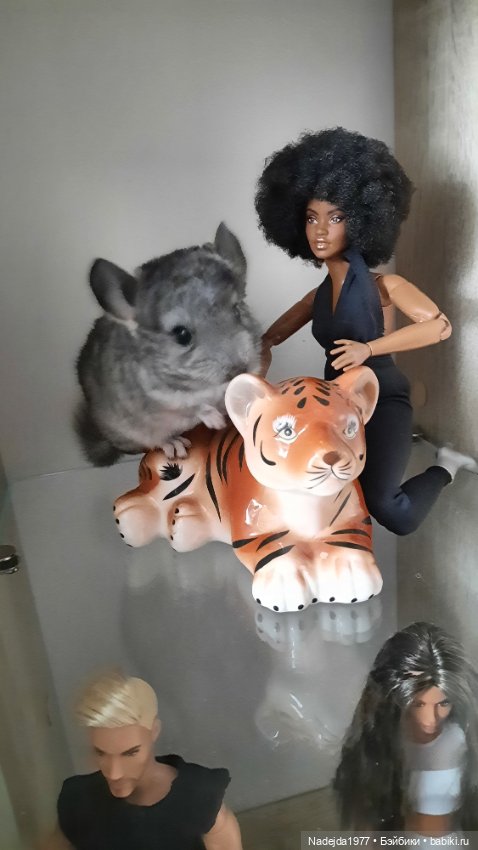 Снова повязушки.Енот и котик