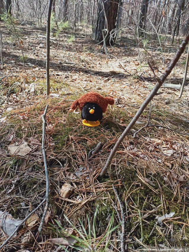Вербное воскресенье.Всех с праздником (фото 3)