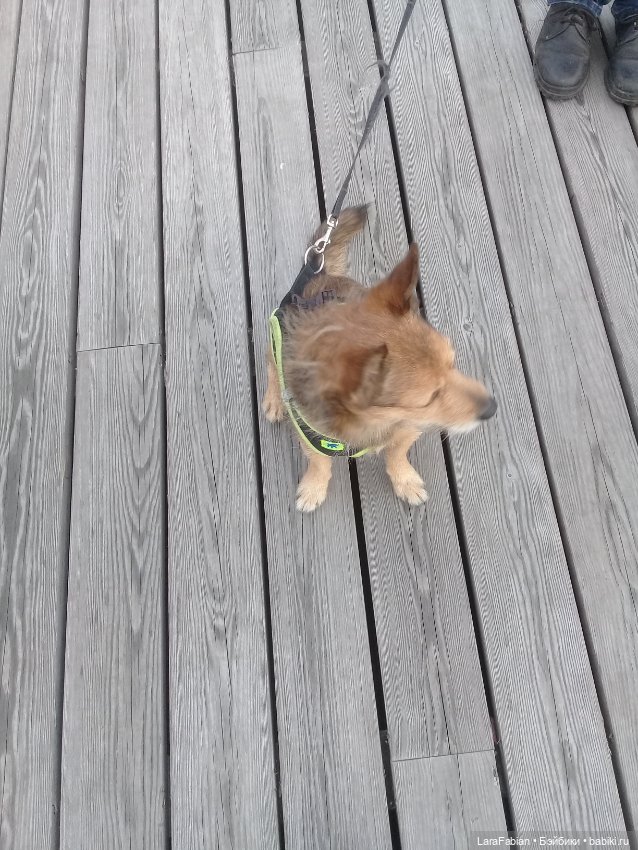 Весенняя прогулка по ВДНХ