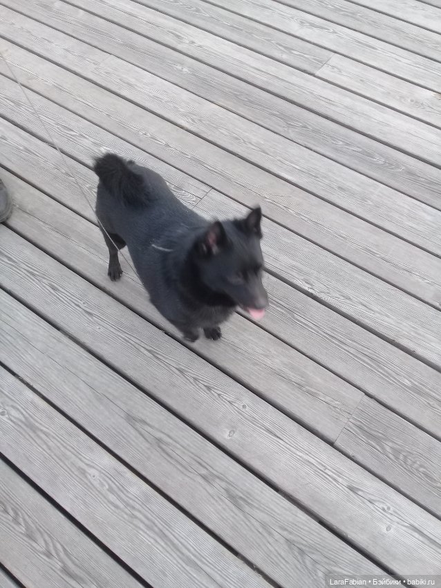 Весенняя прогулка по ВДНХ