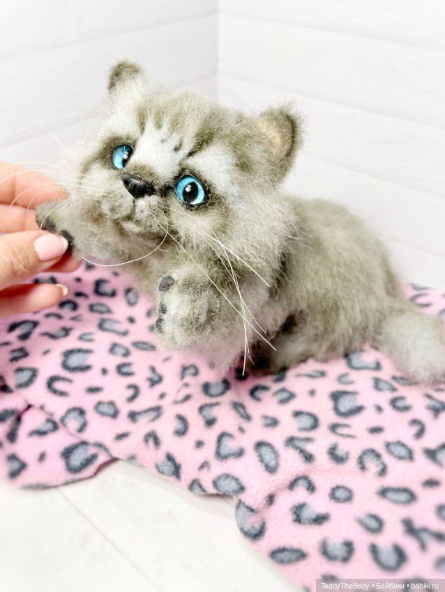 Smoke. Котик тедди натюр 🐾🐈‍⬛