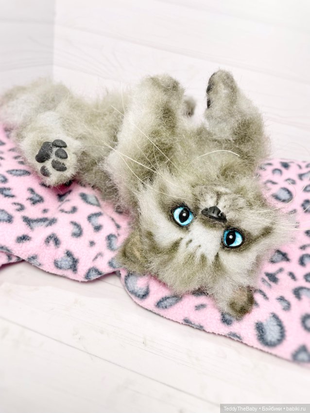 Smoke. Котик тедди натюр 🐾🐈‍⬛