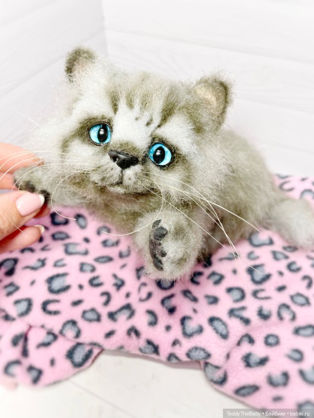 Smoke. Котик тедди натюр 🐾🐈‍⬛