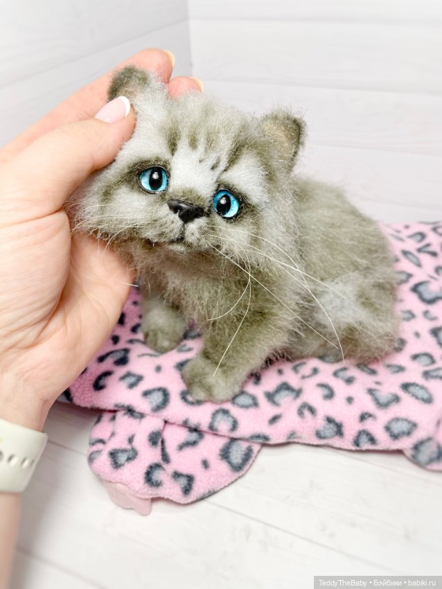 Smoke. Котик тедди натюр 🐾🐈‍⬛