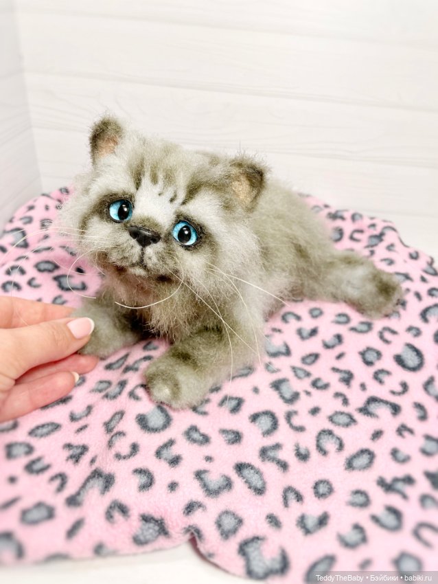 Smoke. Котик тедди натюр 🐾🐈‍⬛ (фото 6)