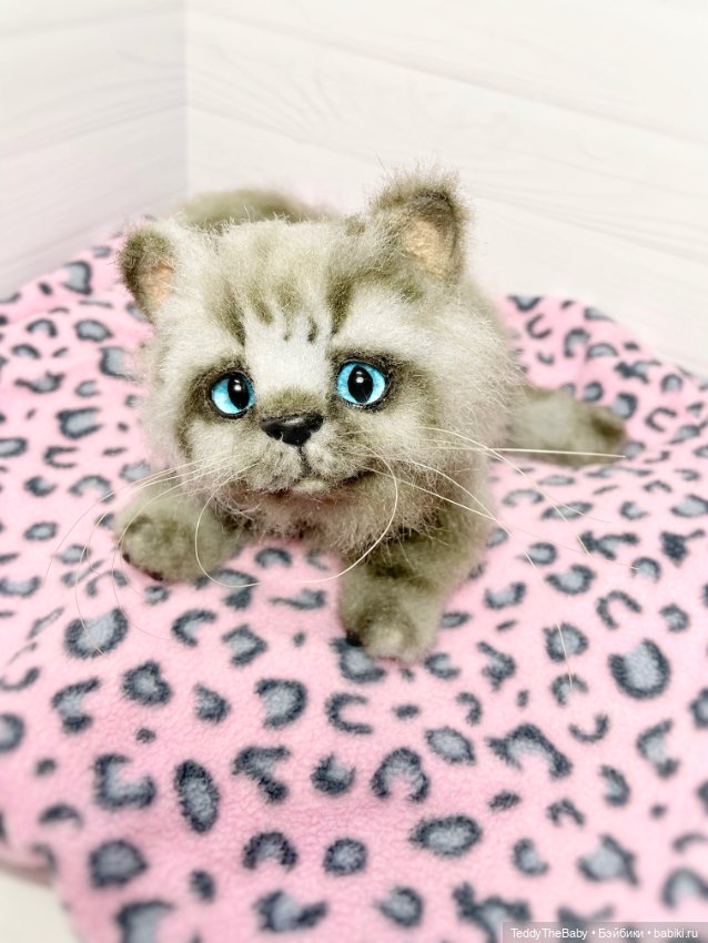 Smoke. Котик тедди натюр 🐾🐈‍⬛ (фото 4)