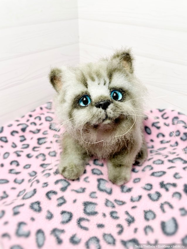 Smoke. Котик тедди натюр 🐾🐈‍⬛ (фото 3)