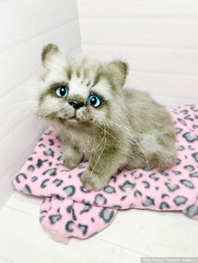 Smoke. Котик тедди натюр 🐾🐈‍⬛