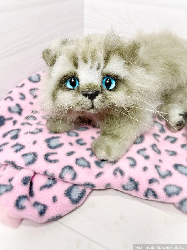 Smoke. Котик тедди натюр 🐾🐈‍⬛