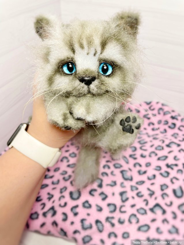 Smoke. Котик тедди натюр 🐾🐈‍⬛