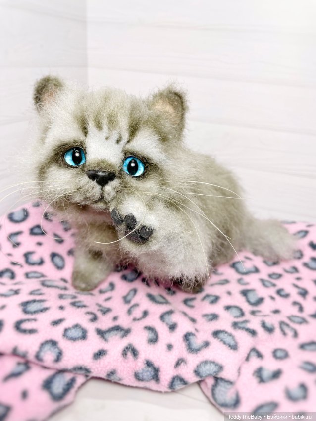 Smoke. Котик тедди натюр 🐾🐈‍⬛ (фото 10)