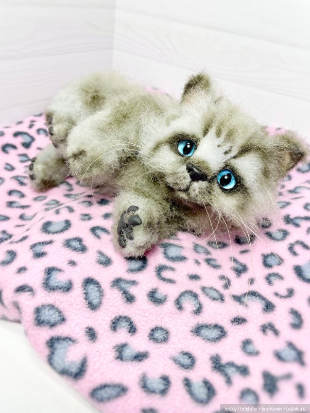 Smoke. Котик тедди натюр 🐾🐈‍⬛ (фото 8)