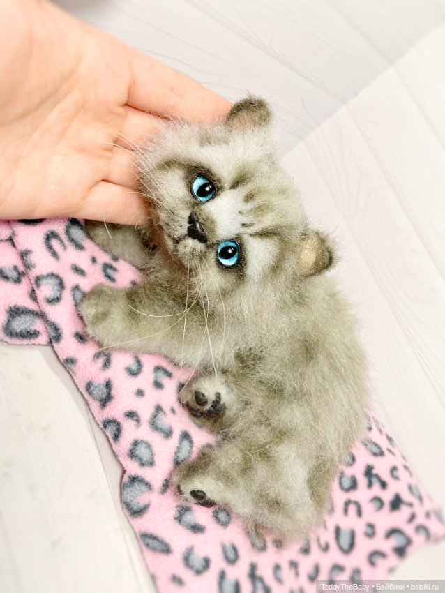 Smoke. Котик тедди натюр 🐾🐈‍⬛
