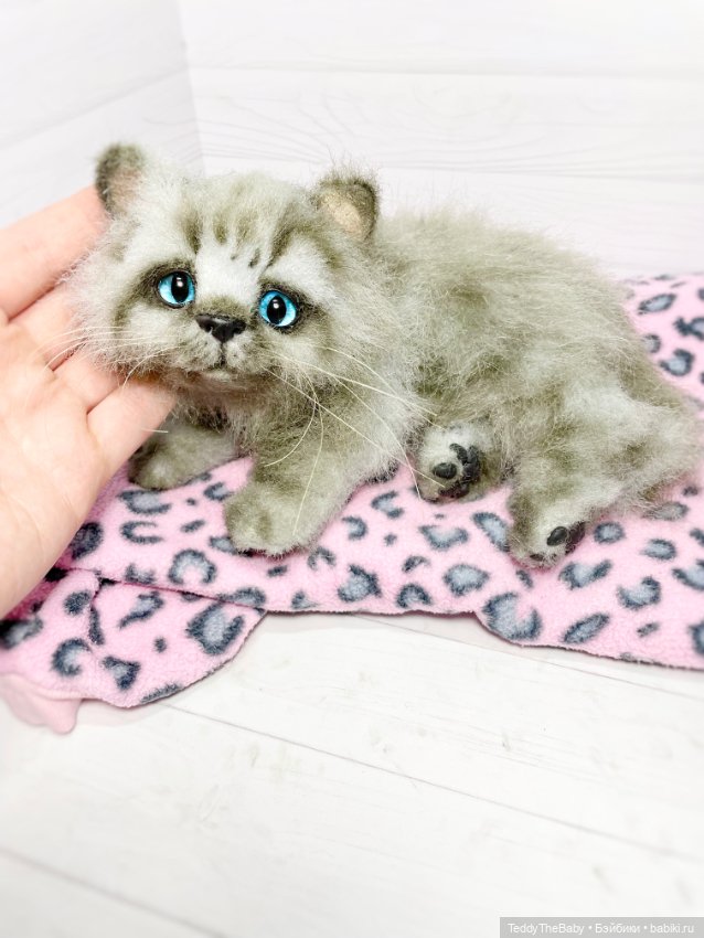 Smoke. Котик тедди натюр 🐾🐈‍⬛