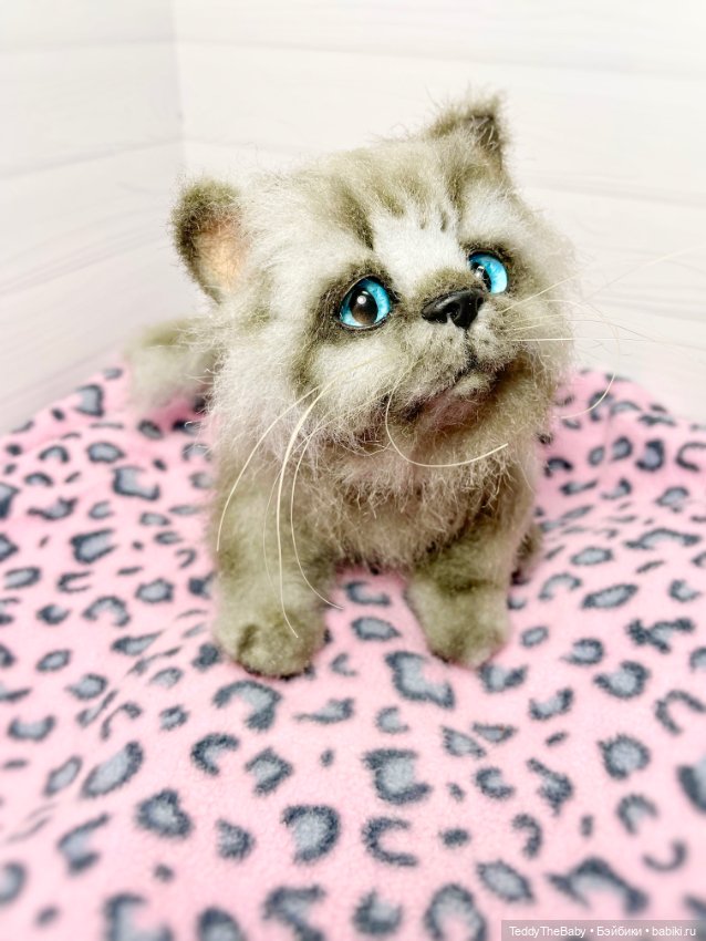 Smoke. Котик тедди натюр 🐾🐈‍⬛ (фото 2)