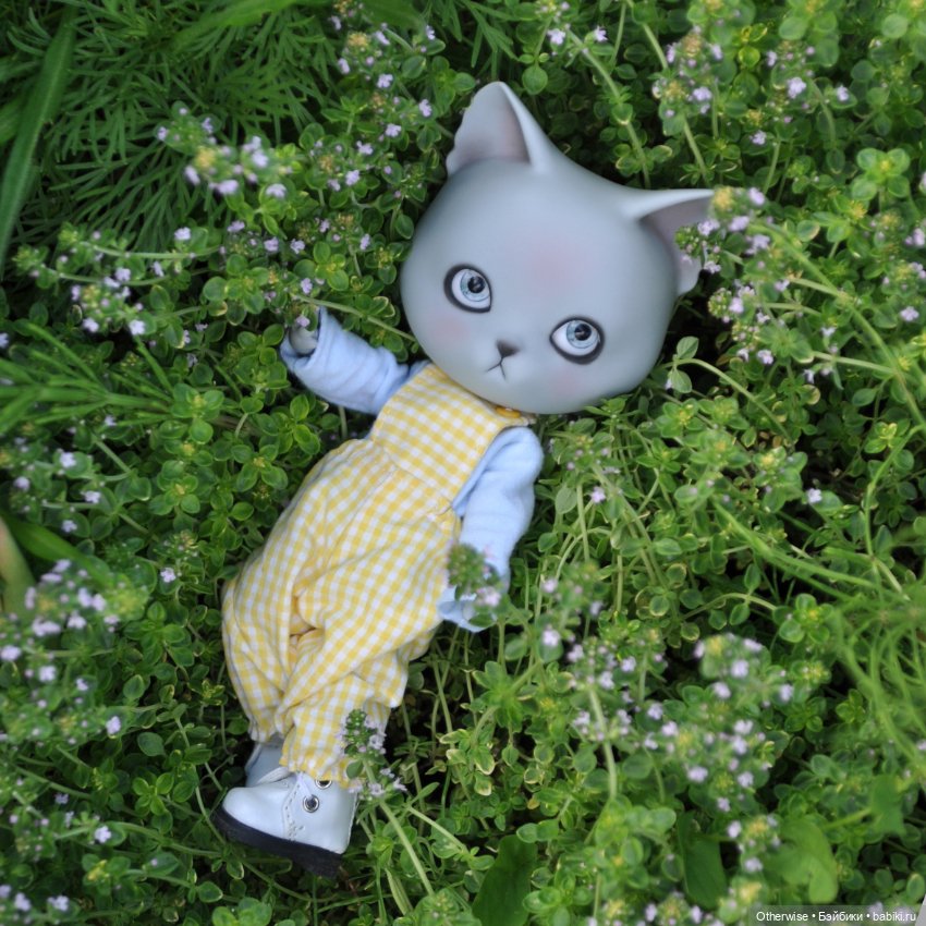 Котик на качелях — Куклы Pipos (Пипос): BJD (БЖД) (фото 4)