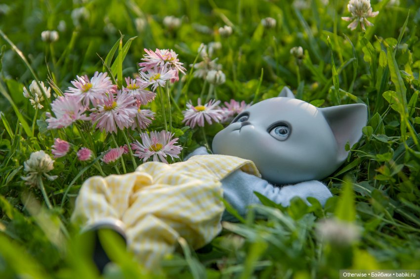 Котик на качелях — Куклы Pipos (Пипос): BJD (БЖД) (фото 6)