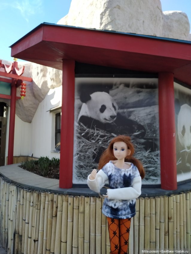Momoko посещает Московский зоопарк
