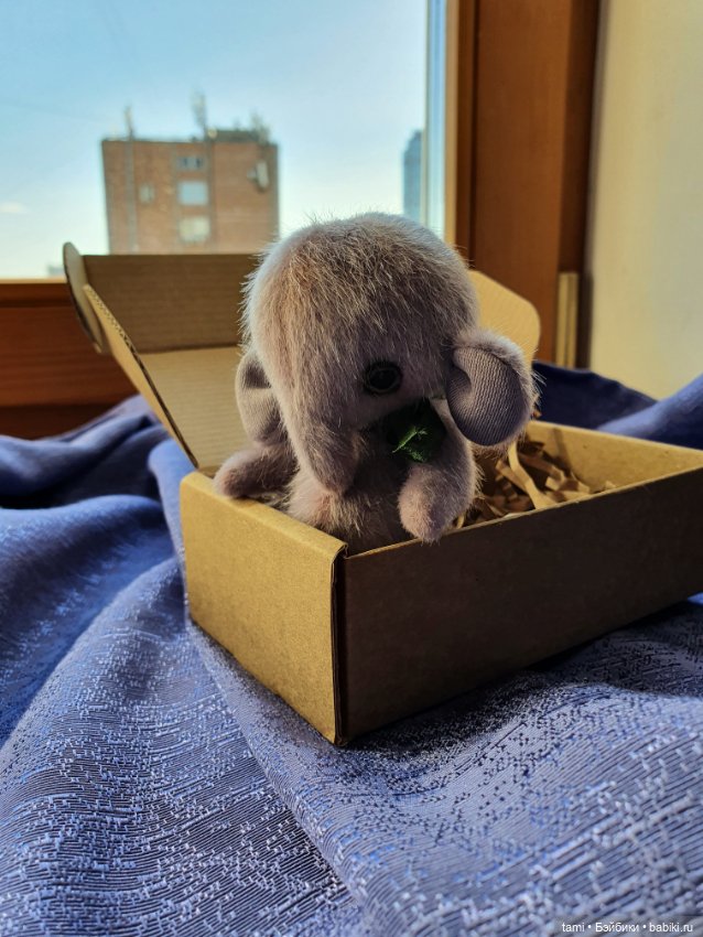 Наши распаковочки — Домашние коллекции кукол: фото собраний