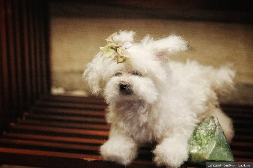 Пушистая малышка — Авторские мишки Тедди и друзья: фото (фото 3)