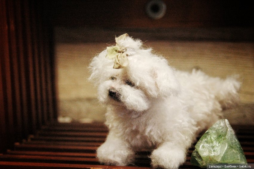 Пушистая малышка — Авторские мишки Тедди и друзья: фото (фото 2)