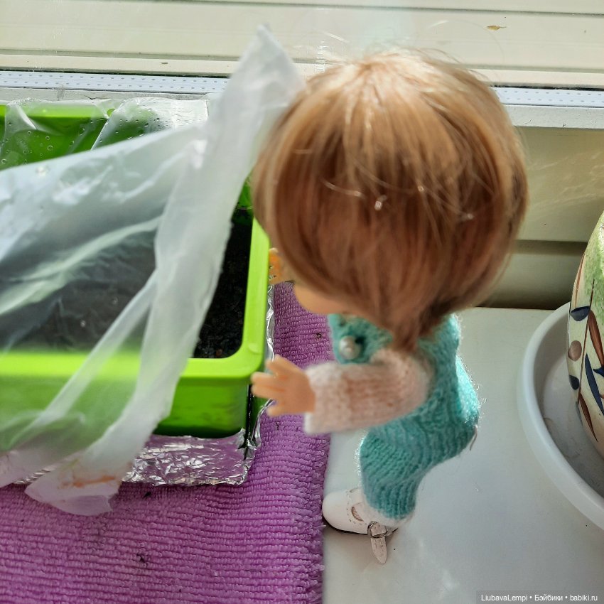 Утренняя пятиминутка — Куклы Luts (Лутс): корейские BJD (БЖД) (фото 2)