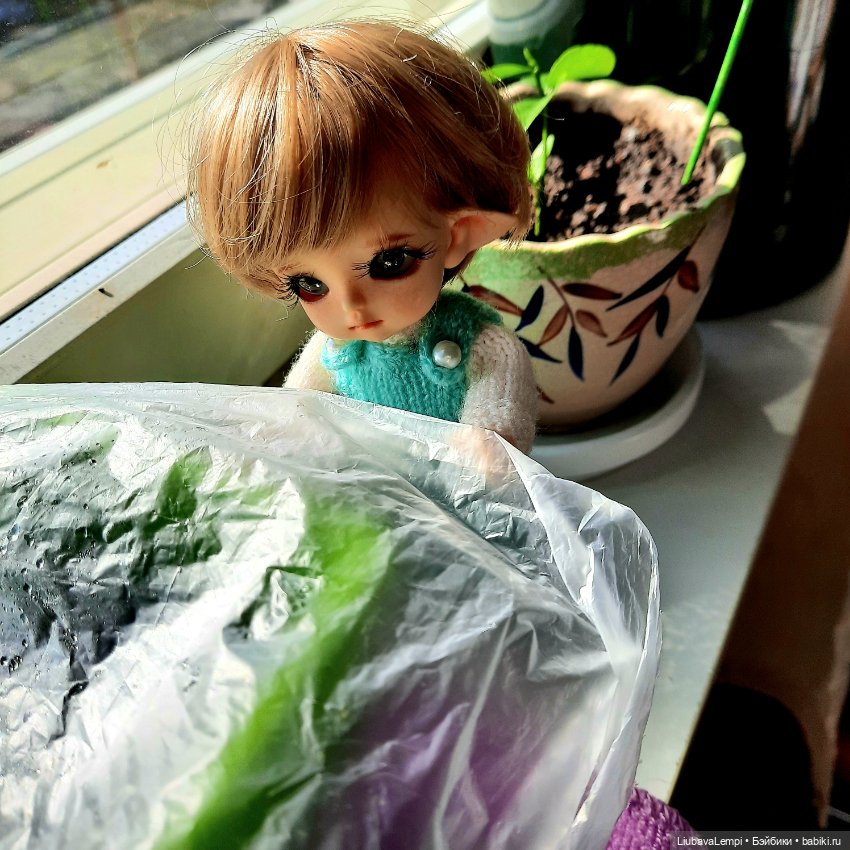 Утренняя пятиминутка — Куклы Luts (Лутс): корейские BJD (БЖД)