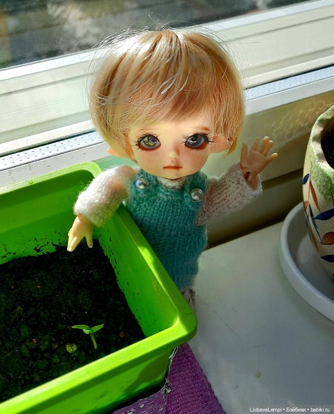 Утренняя пятиминутка — Куклы Luts (Лутс): корейские BJD (БЖД) (фото 3)